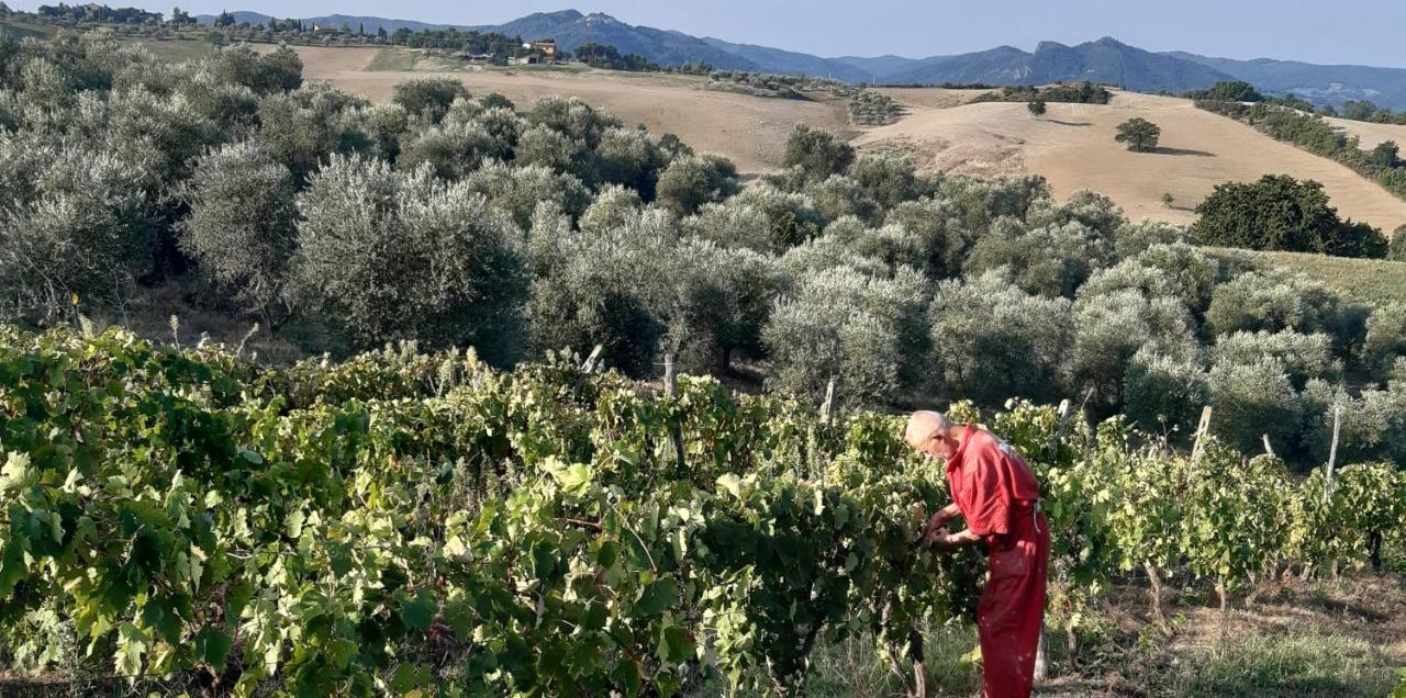 Agriturismo Santa Chiara Pomarance Eksteriør billede