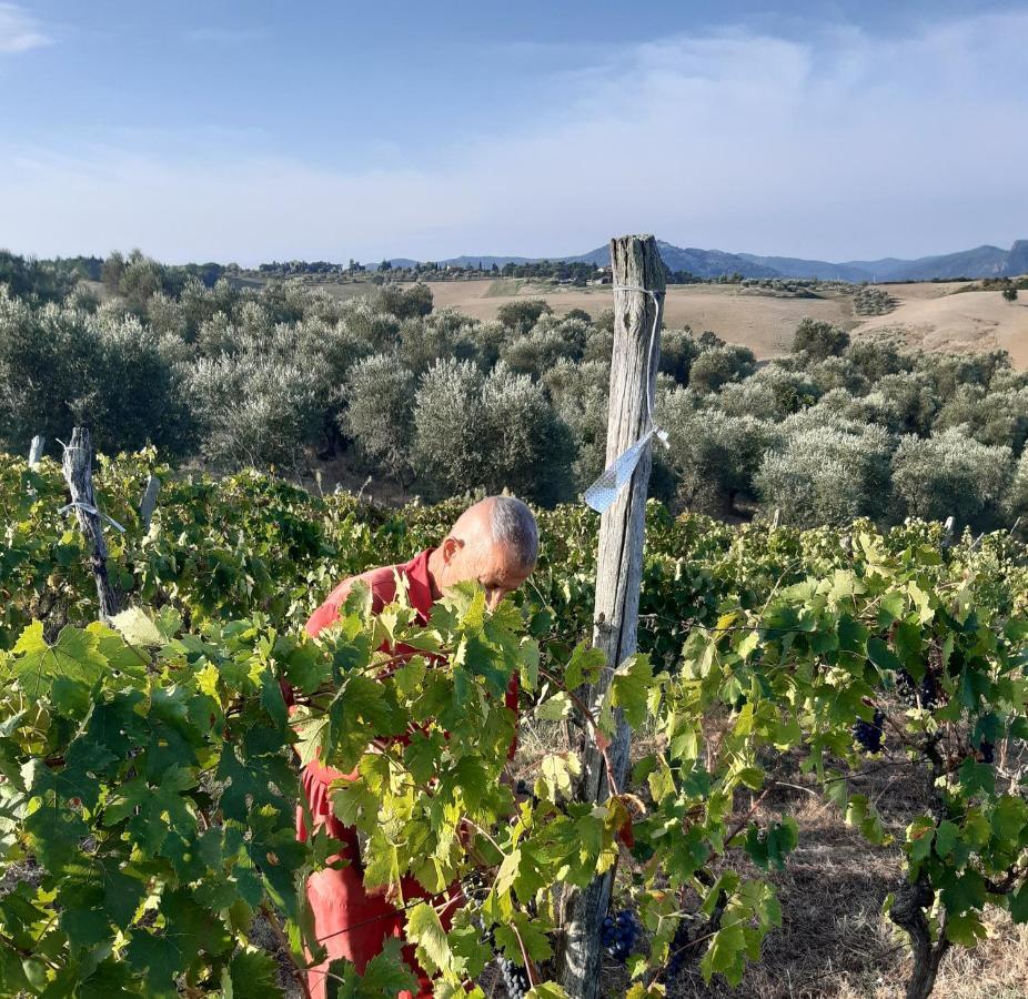 Agriturismo Santa Chiara Pomarance Eksteriør billede