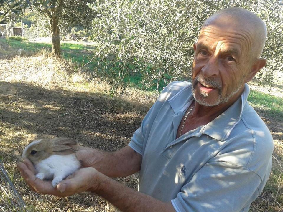 Agriturismo Santa Chiara Pomarance Eksteriør billede