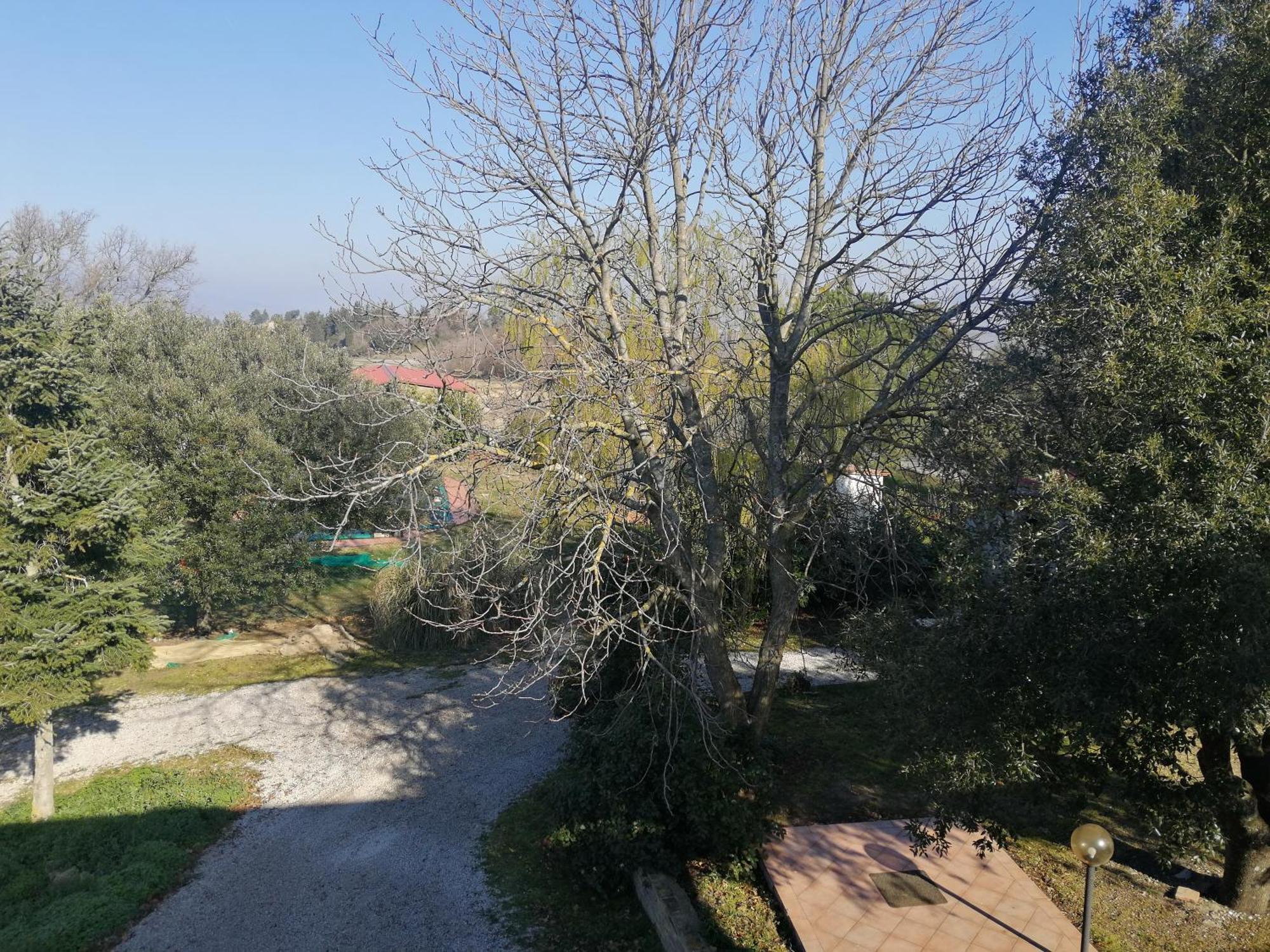 Agriturismo Santa Chiara Pomarance Eksteriør billede