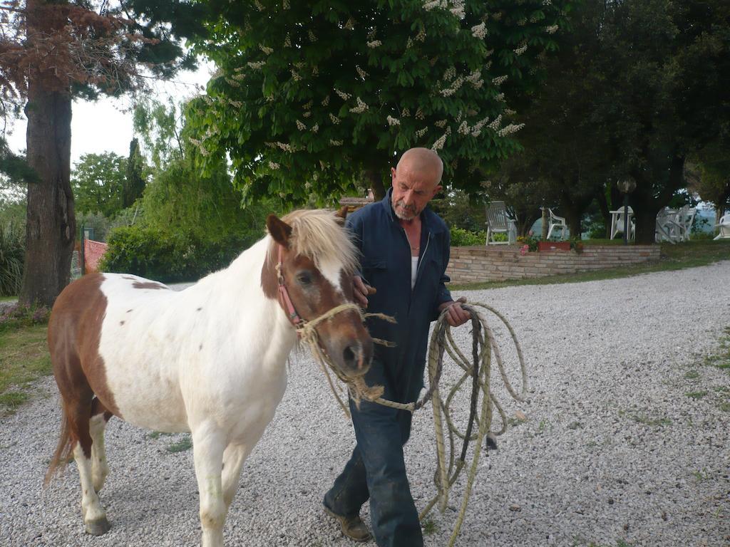 Agriturismo Santa Chiara Pomarance Eksteriør billede