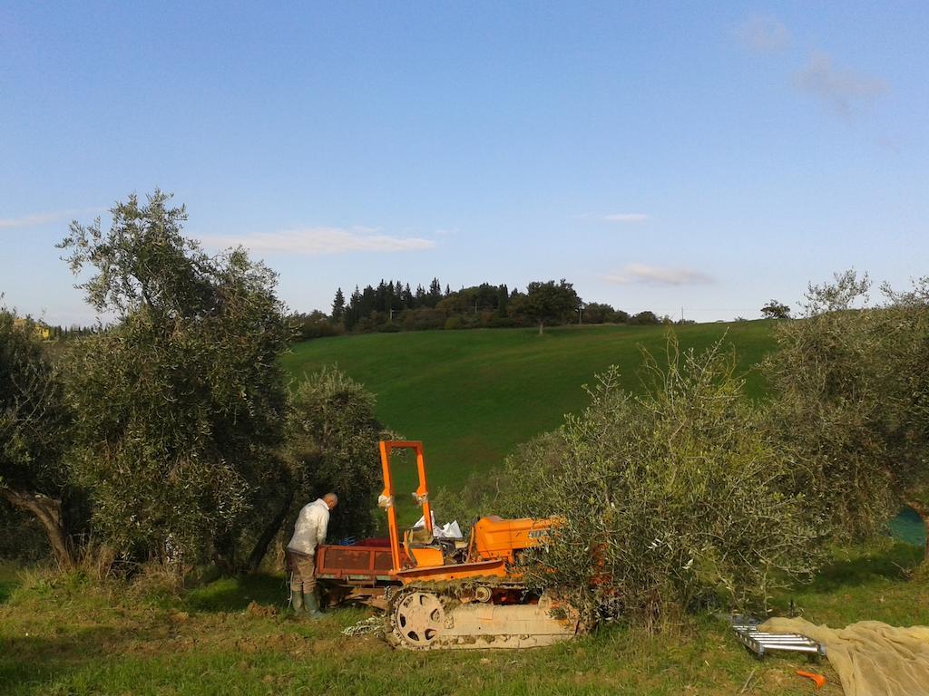 Agriturismo Santa Chiara Pomarance Eksteriør billede