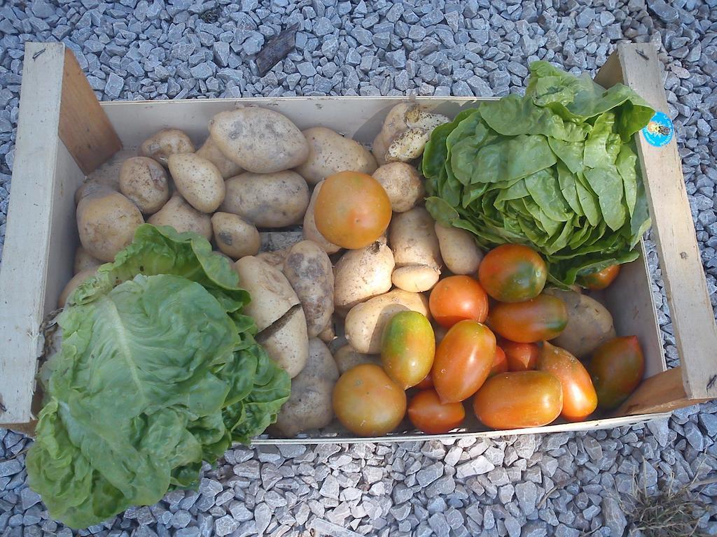 Agriturismo Santa Chiara Pomarance Eksteriør billede